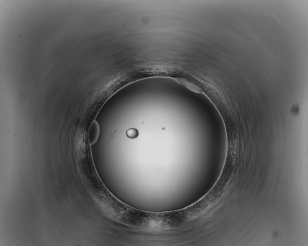 X0000100210264200806061353