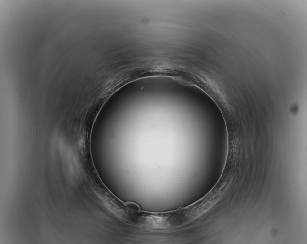 X0000100210265200806061353