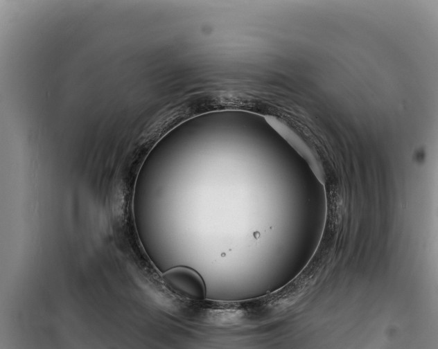 X0000100210266200806061353