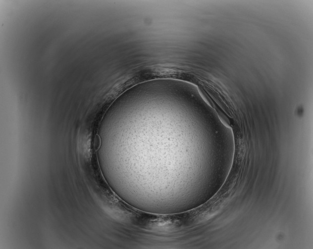 X0000100210267200806061353