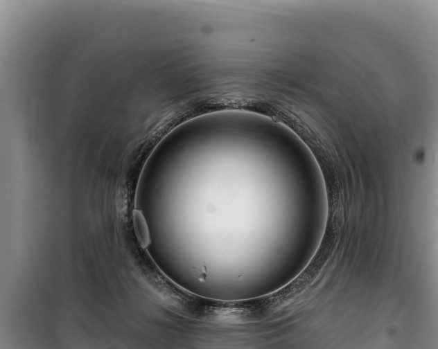 X0000100210268200806061353