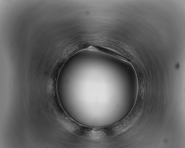 X0000100210270200806061353