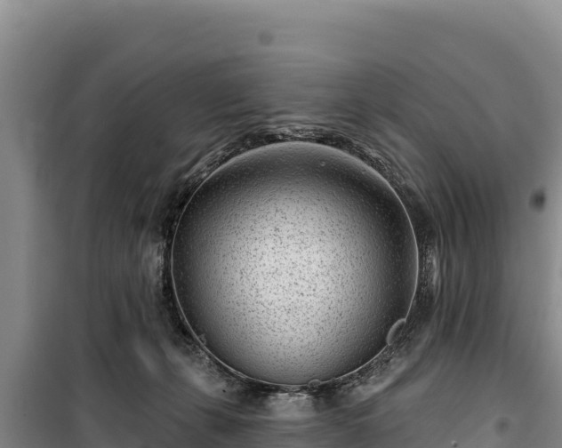 X0000100210271200806061353