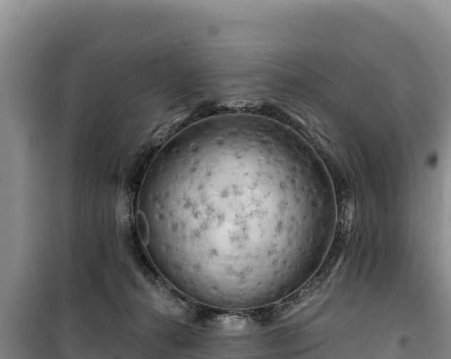 X0000100210272200806061353