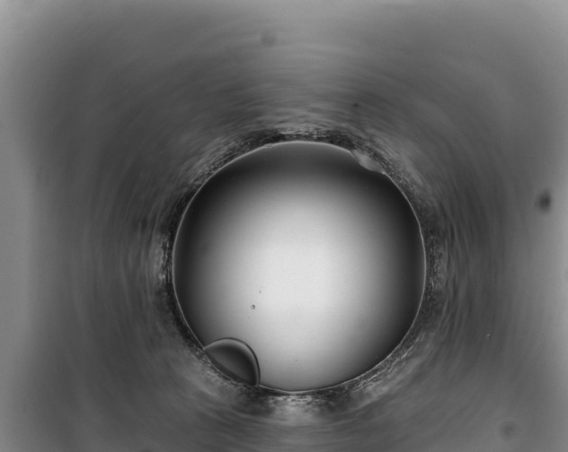 X0000100210273200806061353