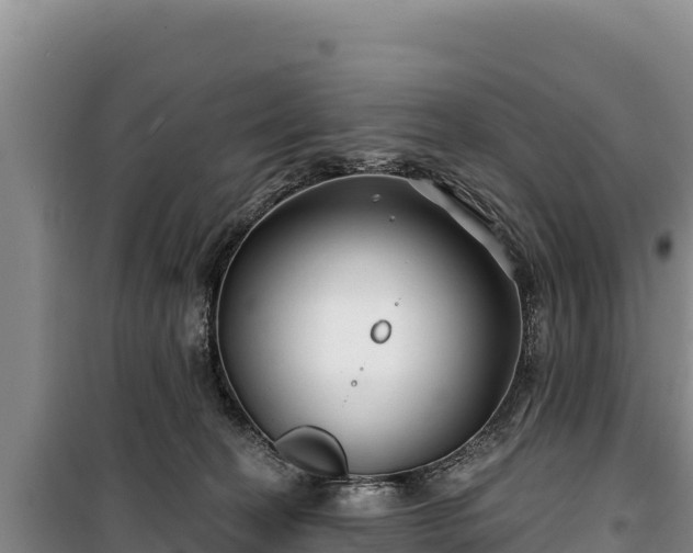 X0000100210274200806061353