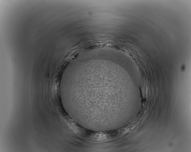 X0000100210276200806061353