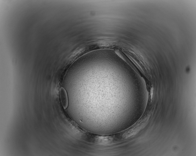 X0000100210277200806061353