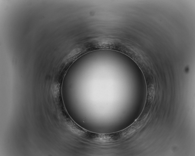 X0000100210278200806061353