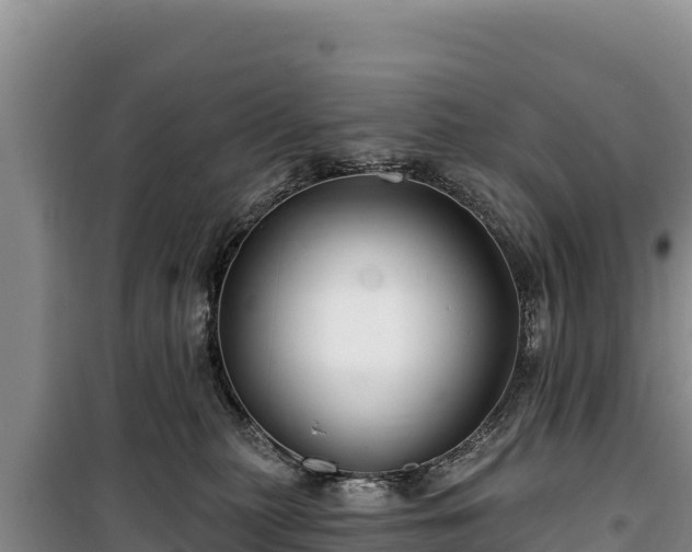 X0000100210279200806061353