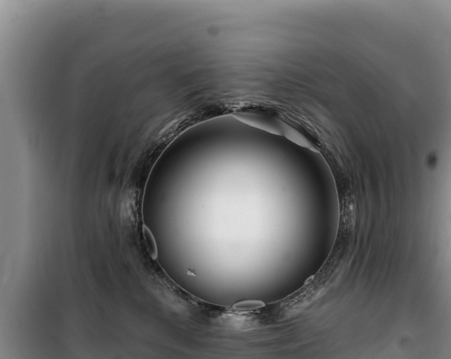 X0000100210280200806061353