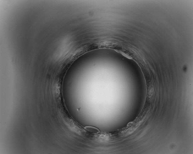 X0000100210282200806061353