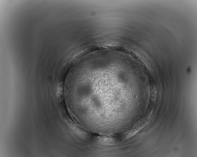 X0000100210284200806061353