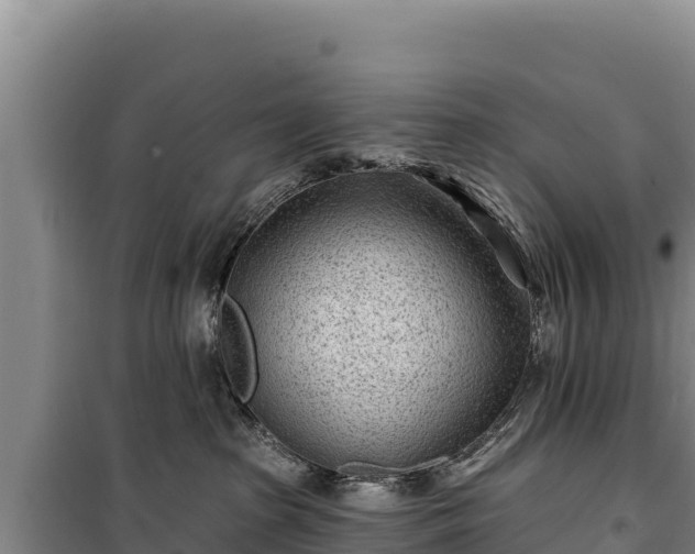 X0000100210285200806061353