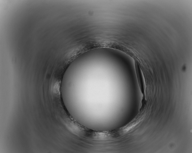 X0000100210286200806061353