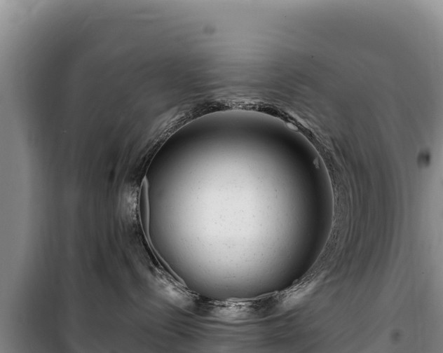 X0000100210288200806061353