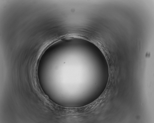 X0000100210289200806061352