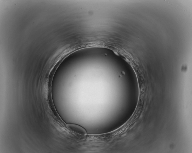 X0000100210290200806061352