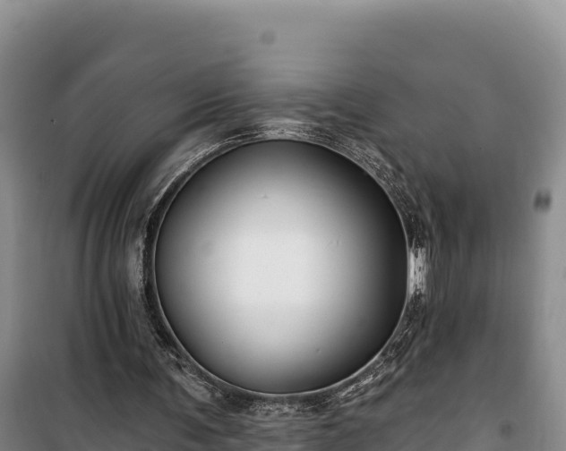 X0000100210291200806061352