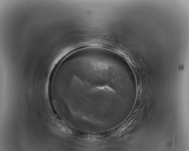 X0000100210292200806061352