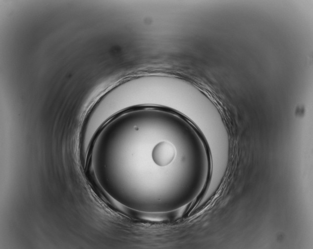 X0000100210293200806061352