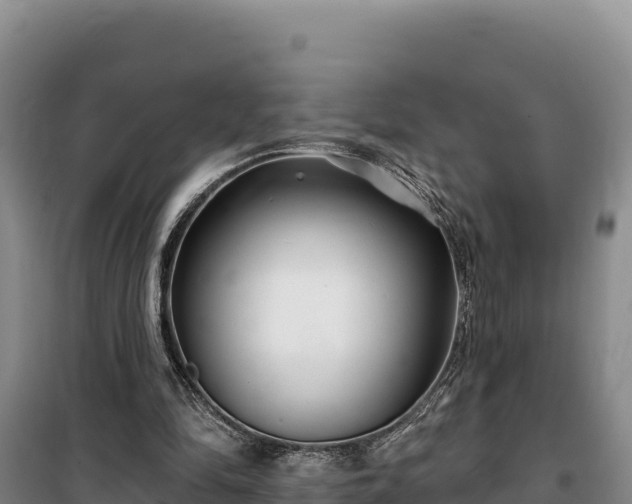 X0000100210294200806061352