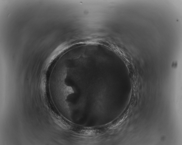 X0000100210295200806061352