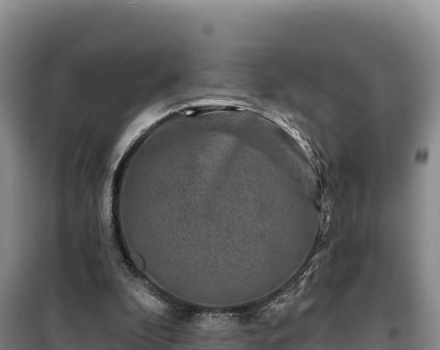 X0000100210296200806061352