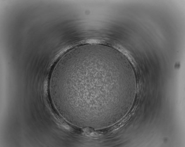 X0000100210297200806061352