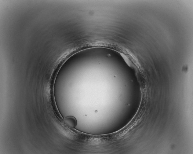 X0000100210298200806061352