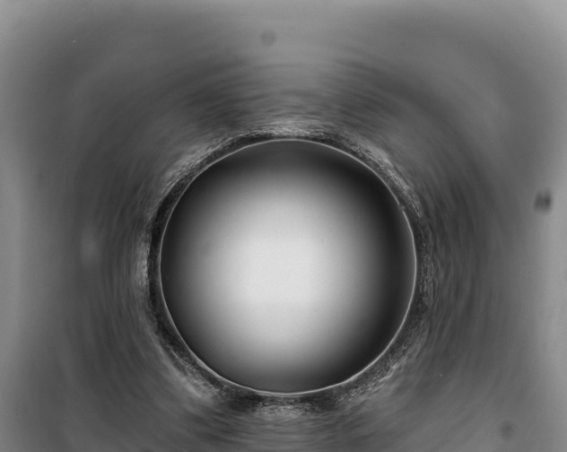 X0000100210299200806061352