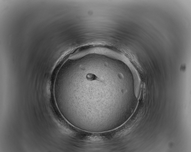 X0000100210300200806061352