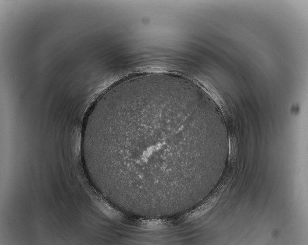 X0000100210301200806061352