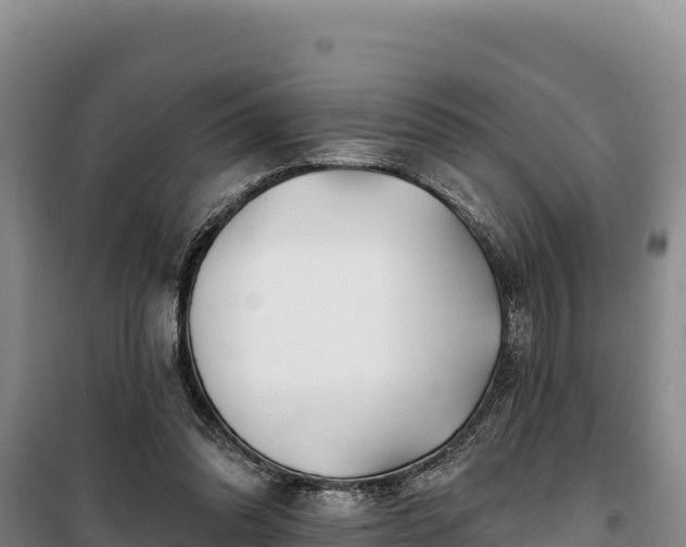 X0000100210302200806061352