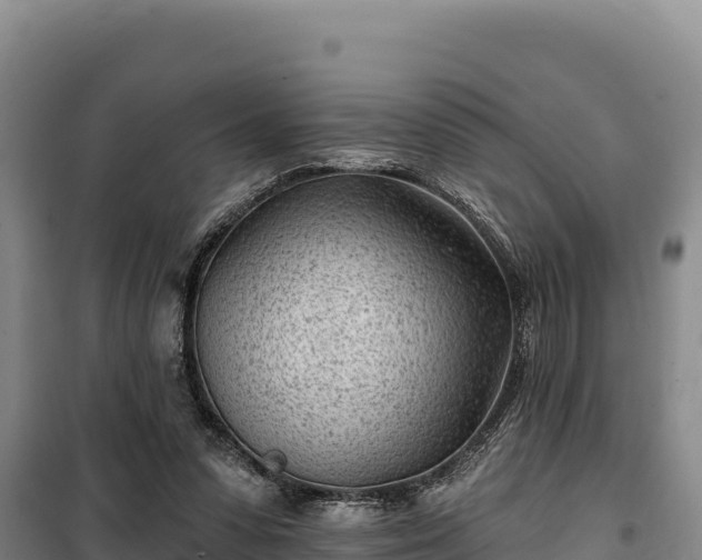 X0000100210303200806061352