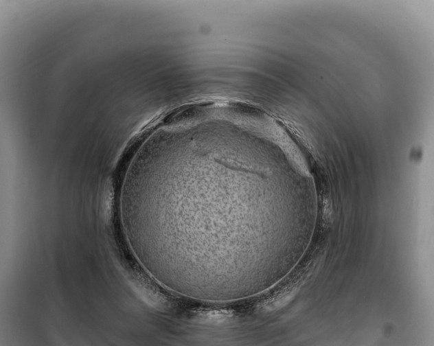 X0000100210304200806061352