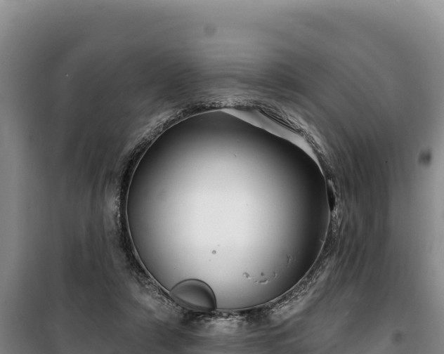 X0000100210306200806061352