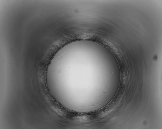 X0000100210307200806061352