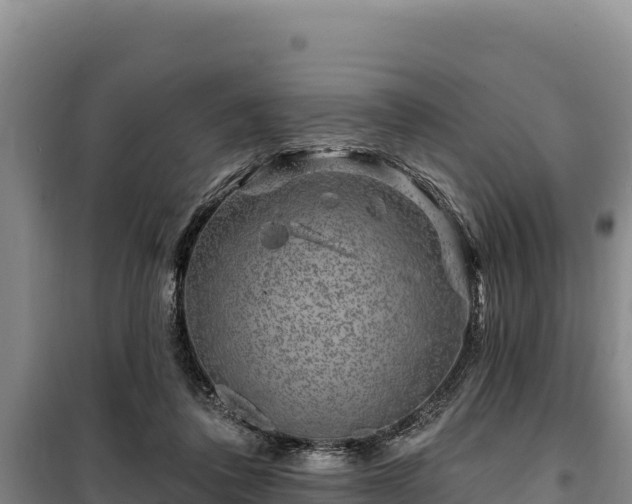 X0000100210308200806061352