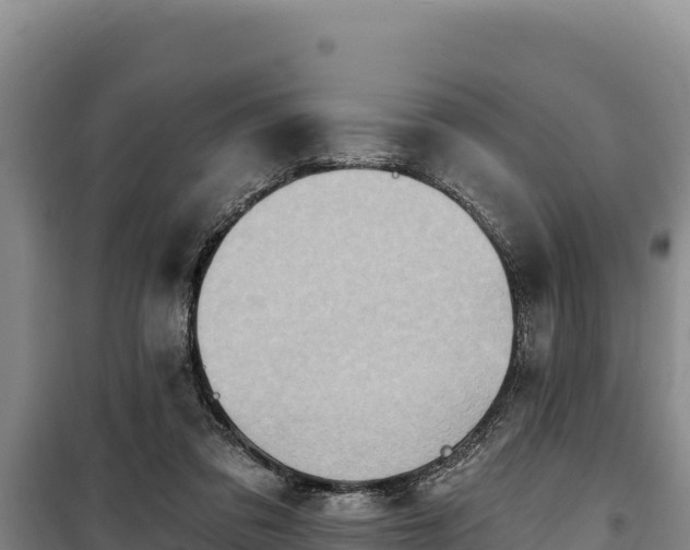 X0000100210309200806061352