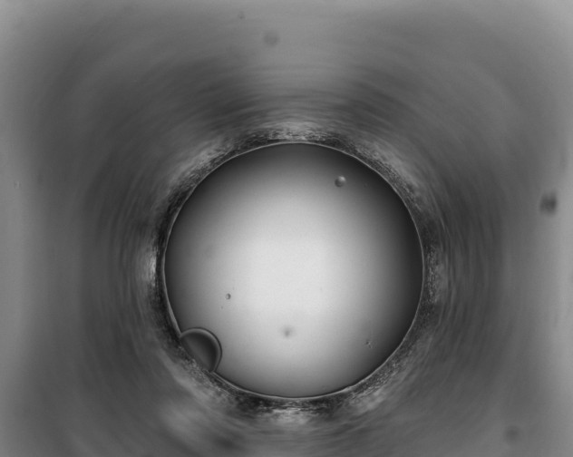 X0000100210310200806061352