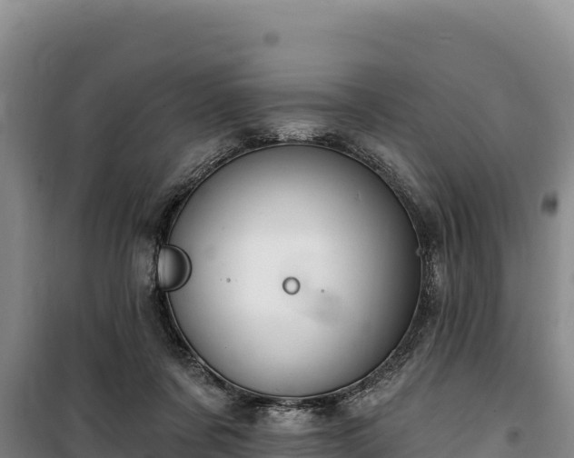 X0000100210311200806061352