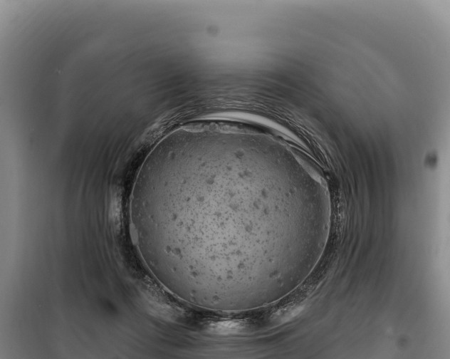 X0000100210312200806061352