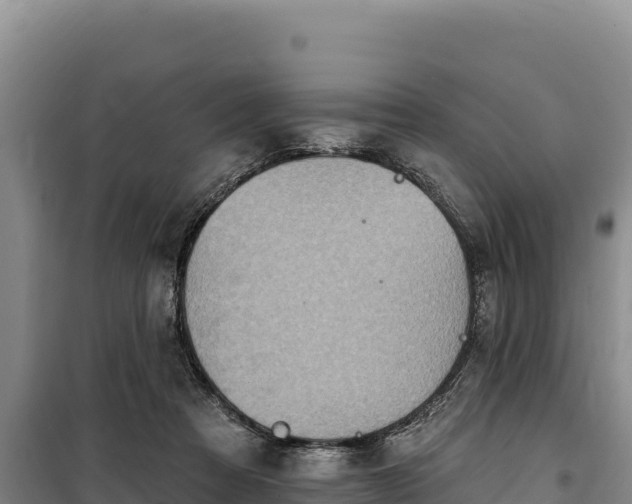 X0000100210313200806061352