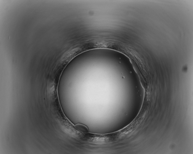 X0000100210314200806061352