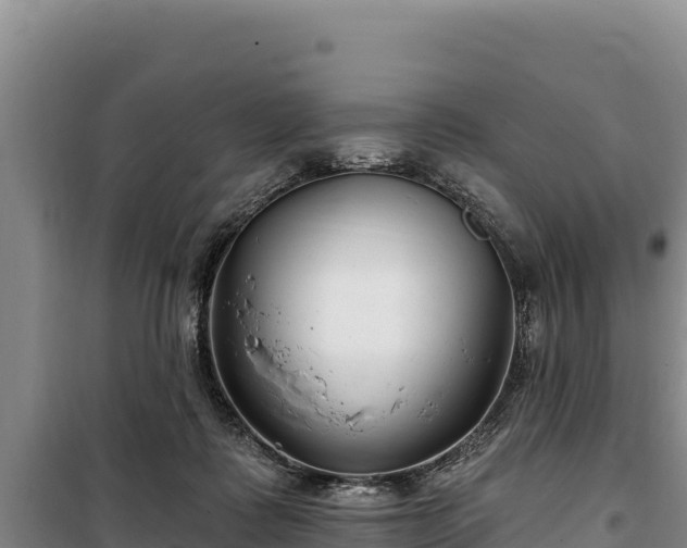 X0000100210315200806061352