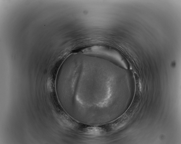 X0000100210316200806061352