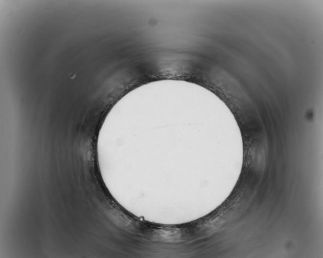 X0000100210317200806061352