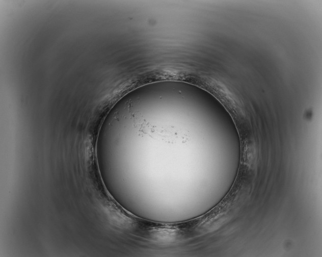 X0000100210318200806061352