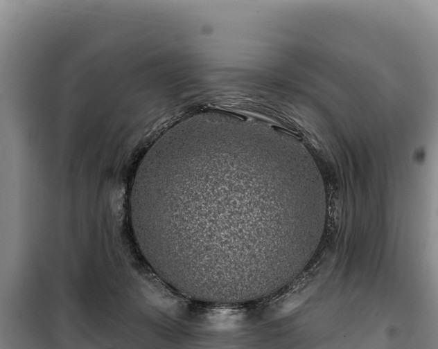 X0000100210319200806061352